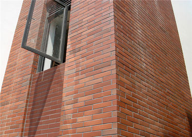 Твердое внешнее сопротивление носки кирпичной стены облицовки для дизайна жилищного строительства