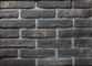 Абсорбция отлива материалов кирпичного здания облицовки античной стены глины тонкая