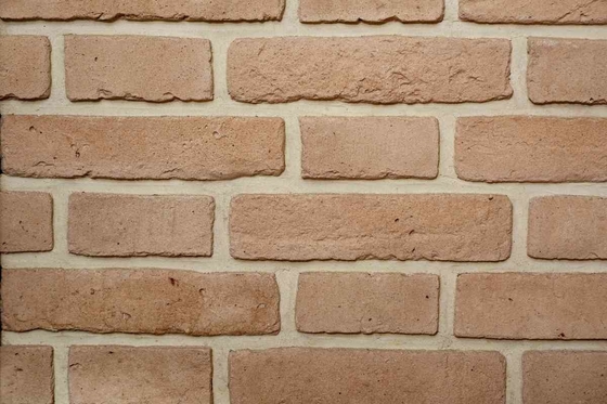 Особенный поверхностный ряд кирпича глины размера 200x55x12mm цветов для отделки стен внутренней и внешней