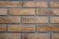 Особенный поверхностный ряд кирпича глины размера 200x55x12mm цветов для отделки стен внутренней и внешней